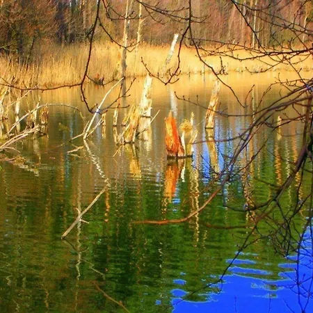 Fewo Im Land Der Tausend Seen Apartament *